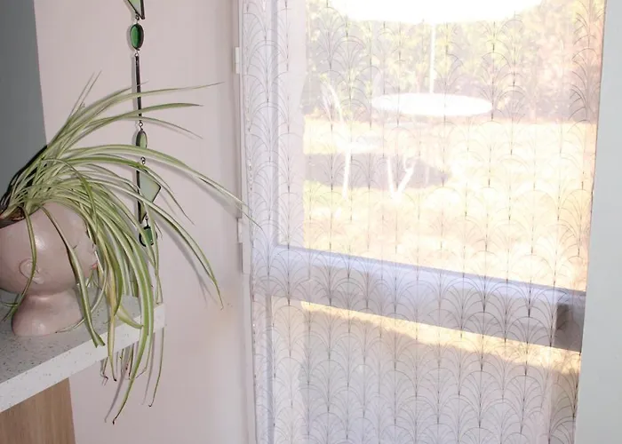 La P'tite Maison Feriehus